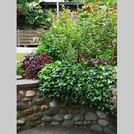 Haus Am Muhlbach Oase Im Traunsteiner Stadtkern Nyaraló